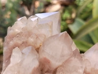 Natural Smokey Phantom Quartz Clusters x 2 From Luena, Congo