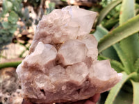 Natural Smokey Phantom Quartz Clusters x 2 From Luena, Congo