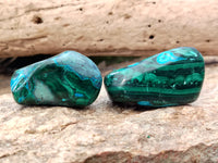 Polished Malacolla Free Forms x 12 From Kalukundi Mine, Congo