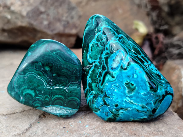 Polished Malacolla Free Forms x 12 From Kalukundi Mine, Congo