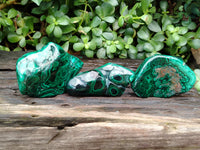 Polished Flower Banded Malachite Free Forms x 6 From Congo