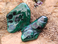 Polished Flower Banded Malachite Free Forms x 6 From Congo