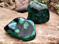 Polished Flower Banded Malachite Free Forms x 6 From Congo