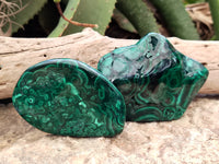 Polished Flower Banded Malachite Free Forms x 6 From Congo