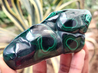 Polished Flower Banded Malachite Free Forms x 6 From Congo