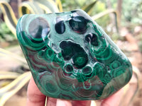 Polished Flower Banded Malachite Free Forms x 6 From Congo