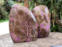 Polished Stichtite Standing Free Forms x 2 From Barberton, South Africa&nbsp;