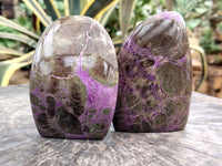 Polished Stichtite Standing Free Forms x 2 From Barberton, South Africa&nbsp;