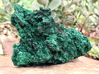 Natural Silky Malachite Specimens x 1 From Kasompe, Congo