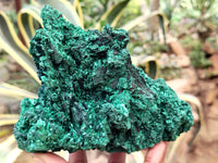 Natural Silky Malachite Specimens x 1 From Kasompe, Congo