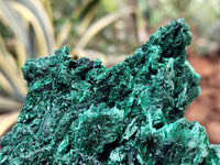 Natural Silky Malachite Specimens x 1 From Kasompe, Congo