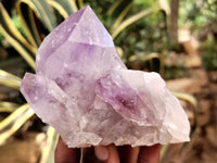 Natural Jacaranda Amethyst Quartz Cluster x 6 from Mumbwa, Zambia