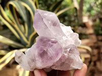 Natural Jacaranda Amethyst Quartz Cluster x 6 from Mumbwa, Zambia