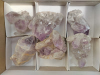 Natural Jacaranda Amethyst Quartz Cluster x 6 from Mumbwa, Zambia