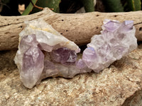 Natural Jacaranda Amethyst Quartz Cluster x 6 from Mumbwa, Zambia