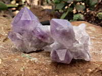 Natural Jacaranda Amethyst Quartz Cluster x 6 from Mumbwa, Zambia