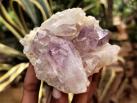 Natural Jacaranda Amethyst Quartz Cluster x 6 from Mumbwa, Zambia