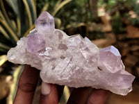 Natural Jacaranda Amethyst Quartz Cluster x 6 from Mumbwa, Zambia