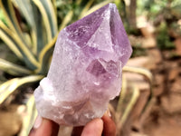 Natural Jacaranda Amethyst Quartz Cluster x 6 from Mumbwa, Zambia