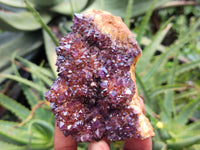 Natural Amethystos Amethyst Plates x 11 From Kwaggafontein, South Africa