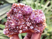 Natural Amethystos Amethyst Plates x 11 From Kwaggafontein, South Africa