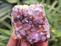 Natural Amethystos Amethyst Plates x 11 From Kwaggafontein, South Africa