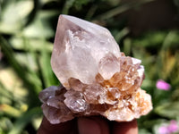 Natural Ametrine Spirit Quartz Crystals x 24 From Boekenhouthoek, South Africa