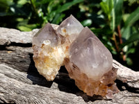 Natural Ametrine Spirit Quartz Crystals x 24 From Boekenhouthoek, South Africa