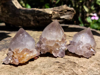 Natural Ametrine Spirit Quartz Crystals x 24 From Boekenhouthoek, South Africa