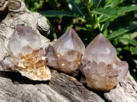 Natural Ametrine Spirit Quartz Crystals x 24 From Boekenhouthoek, South Africa