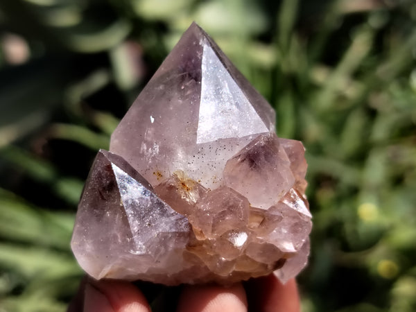 Natural Ametrine Spirit Quartz Crystals x 24 From Boekenhouthoek, South Africa