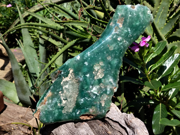 Polished On One Side Emerald Mtorolite Plates x 2 From Mutorashanga, Zimbabwe