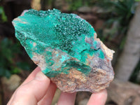 Natural Crystalline Malachite Specimens x 3 From Congo