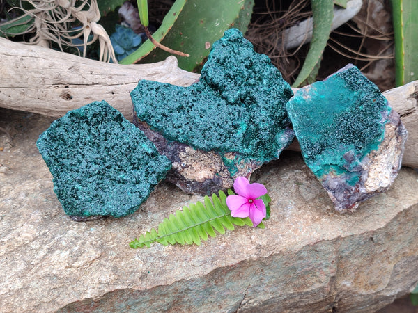 Natural Crystalline Malachite Specimens x 3 From Congo