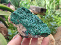 Natural Crystalline Malachite Specimens x 3 From Congo