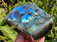 Polished Labradorite Standing Free Forms x 2 From Tulear, Madagascar