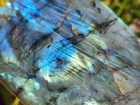 Polished Labradorite Standing Free Forms x 2 From Tulear, Madagascar