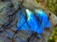 Polished Labradorite Standing Free Forms x 2 From Tulear, Madagascar