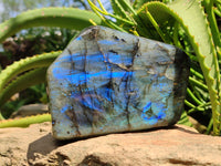 Polished Labradorite Standing Free Forms x 2 From Tulear, Madagascar