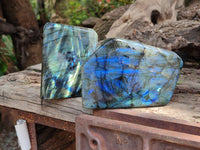 Polished Labradorite Standing Free Forms x 2 From Tulear, Madagascar