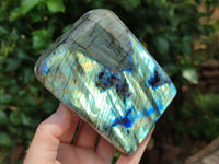 Polished Labradorite Standing Free Forms x 2 From Tulear, Madagascar