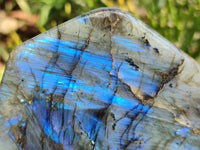 Polished Labradorite Standing Free Forms x 2 From Tulear, Madagascar