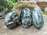 Polished Leopard Stone Free Forms x 6 From Zimbabwe