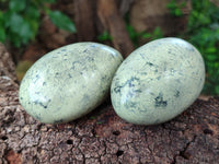 Polished Leopard Stone Free Forms x 6 From Zimbabwe