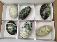 Polished Leopard Stone Free Forms x 6 From Zimbabwe