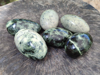 Polished Leopard Stone Free Forms x 6 From Zimbabwe