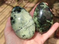 Polished Leopard Stone Free Forms x 6 From Zimbabwe