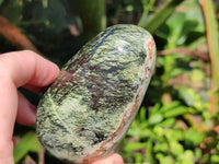 Polished Leopard Stone Standing Free Forms x 6 From Zimbabwe