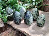 Polished Leopard Stone Standing Free Forms x 6 From Zimbabwe