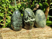 Polished Leopard Stone Standing Free Forms x 6 From Zimbabwe